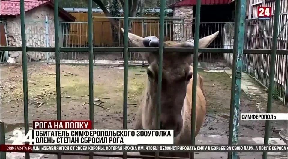 ����� ������ �� ���������������� ��������� ���� ������ ������ ���������� ������������ 24�