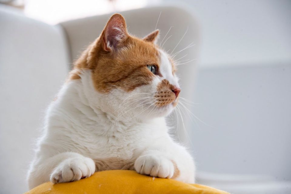 ��� ������: ����, ��� �� ����� �������� ������ �������� �� ���� ������!