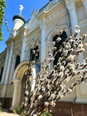 ��������� ��������: ������� �� ����� � ��������� ����