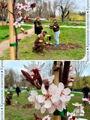 Аллея Российского театрального общества появится в парке имени Гагарина в Симферополе