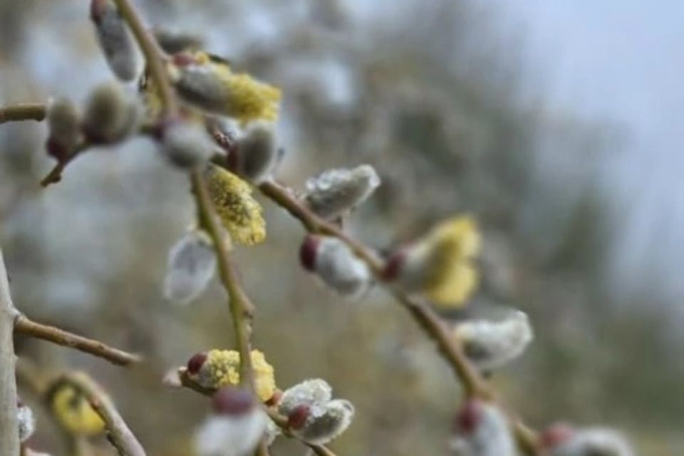 � ������� ������������!