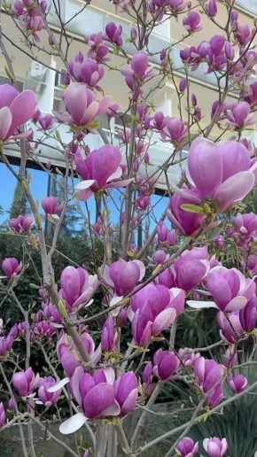 ���� ����: � ����� ������������ ��������