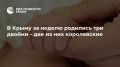 В Крыму за неделю родились три двойни – две из них королевские