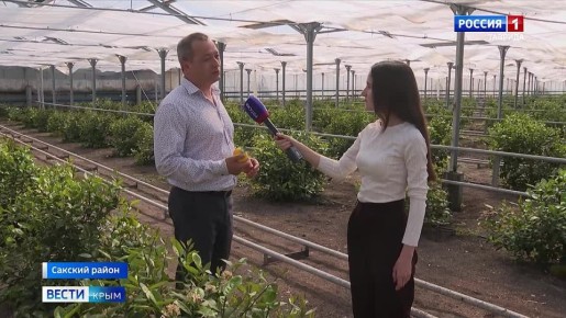 �������� ����������: ��� ������ ��������� ������ � ���� �����?