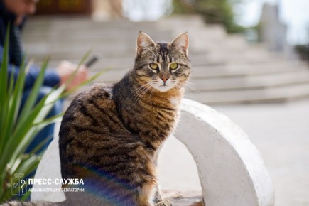 Доброе утро, Евпатория!. Температура воздуха поднимется сегодня до +16°С