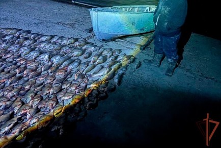 ���������� ����� ���� ������� ��� ������� ���������� � ������������� ���� (�����)