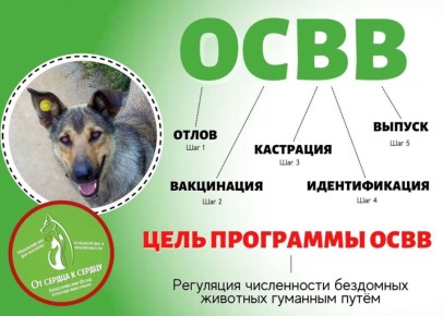 �� ������ �������������� ��������� ������������� ���� ������ �������� "�� ������ � ������" �������� ����� � ���������� ������������ ��������� ��������!