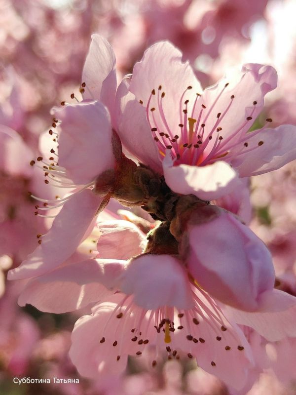 �������� ���������� �����