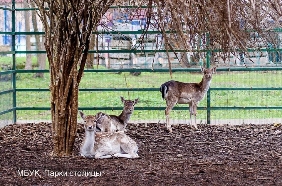 #������������������. ����������� ���� ���������������� ��������� � ���������� ��������