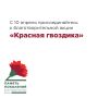 С 10 апреля по 22 июня пройдёт ежегодная всероссийская акция «Красная гвоздика»