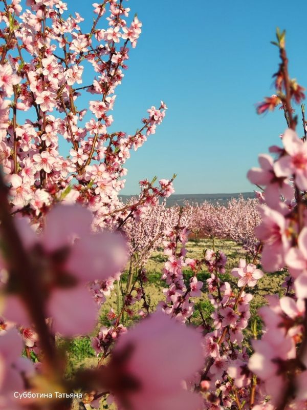 �������� ���������� �����