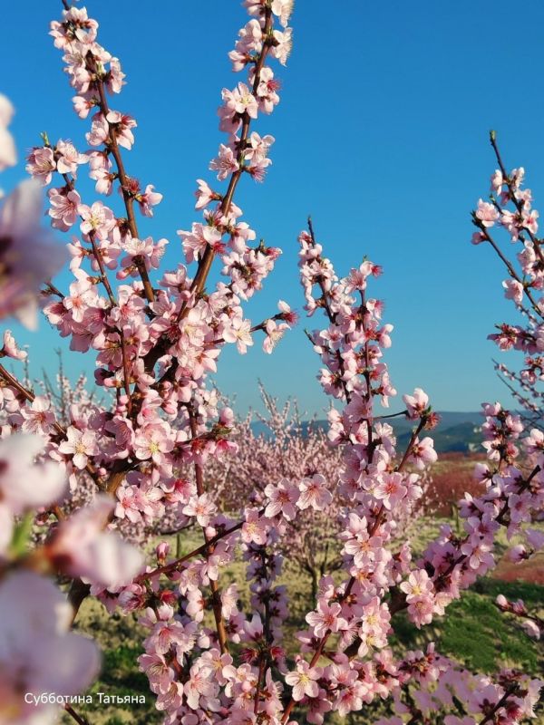 �������� ���������� �����