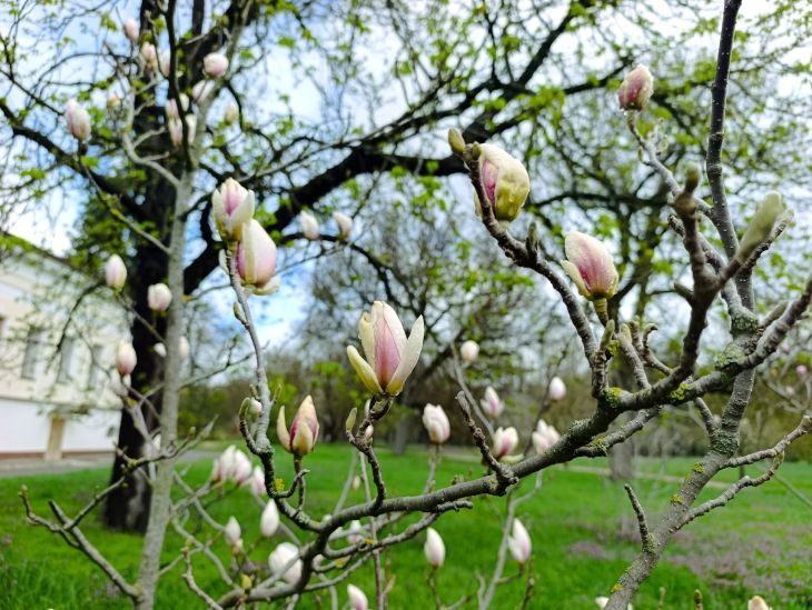 � ������������ ���� ����������� �������� ������ �������� ��������