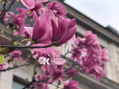 Дождливый весенний Симферополь по-своему прекрасен