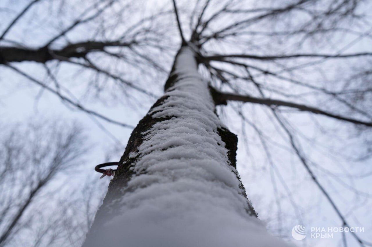 Сильный снег и гололедица ожидаются в горах Крыма – объявлено экстренно предупреждение