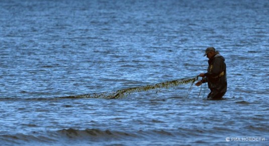 ����� � �������� ���� ���������� ������