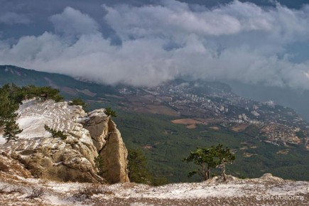 � ����� �������� �������� ���������