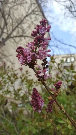 Ветер западный, настроение весеннее, дождь — по плану