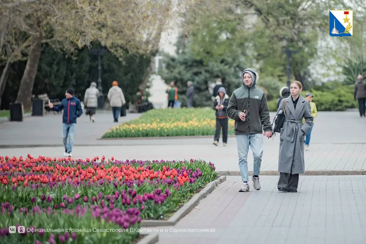 Улицы Севастополя украсили самые весенние цветы