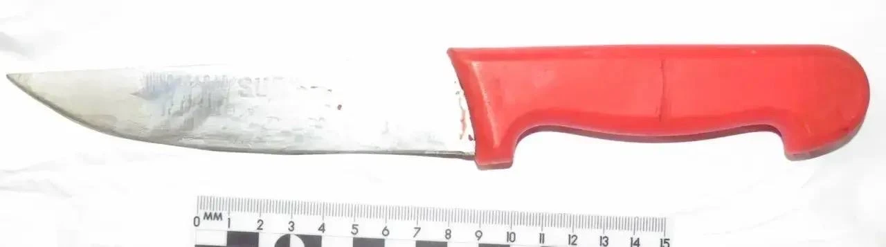 В Бахчисарайском районе мужчина осужден за причинение тяжкого вреда здоровью знакомого