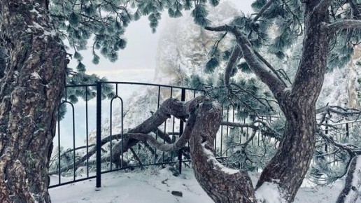 ���� ��������� � ����� ��-����� � ����� ������ ����