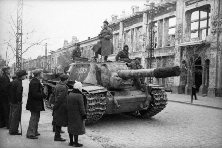 �������� ������������: ������� � 82-� ��������� ������������ ����������� �� �������-���������� �����������