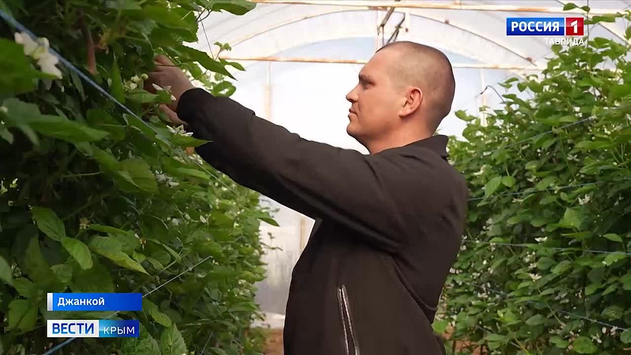 На прилавках Симферополя появились первые ягоды