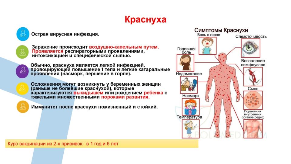 Профилактика краснухи Профилактика краснухи