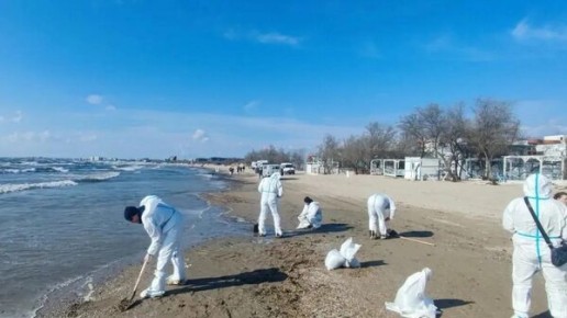 Новый выброс мазута зафиксирован на Черноморском побережье