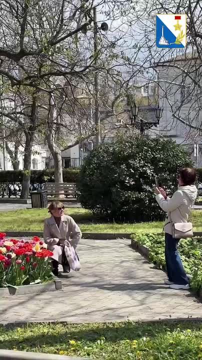 Весна подарила Севастополю море цветов!