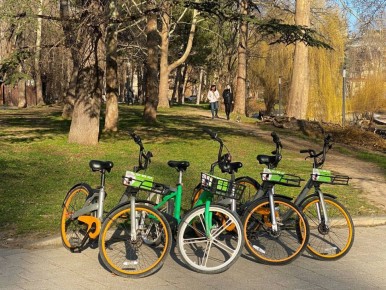 Погода в Симферополе 14 апреля