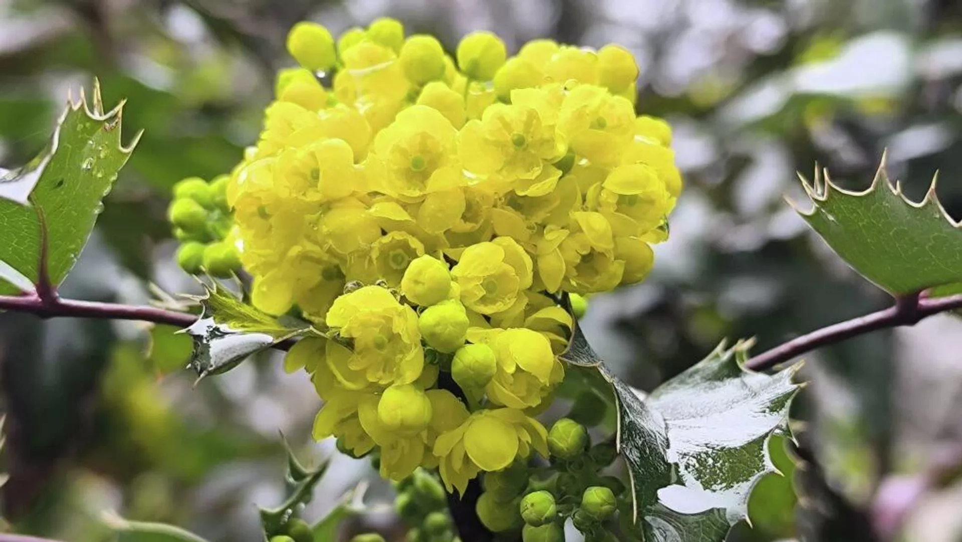 Какой будет вторая половина весны в Крыму: прогноз от ФОБОС