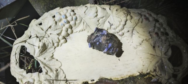 ����������� ������� �������� ������� ��������������� ������� ������ ����� �� ���������� ������