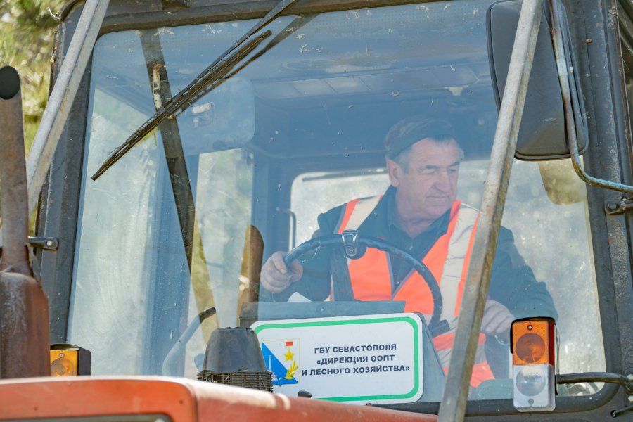 В лесах Севастополя обновляют противопожарные барьеры В лесах Севастополя обновляют противопожарные барьеры