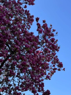 ����� ������ ��� ������� � ������ ����� 17 ������