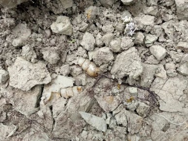 � ����� ����� ������� ������, ������� 57 ��� ���