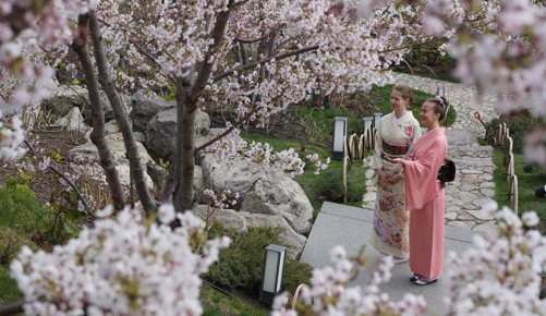 ����� ����� � ��������: ��������� ������, ������������, ������� � ������ � ���������