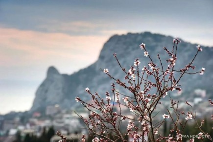 ������� ������ � ����� �� �������