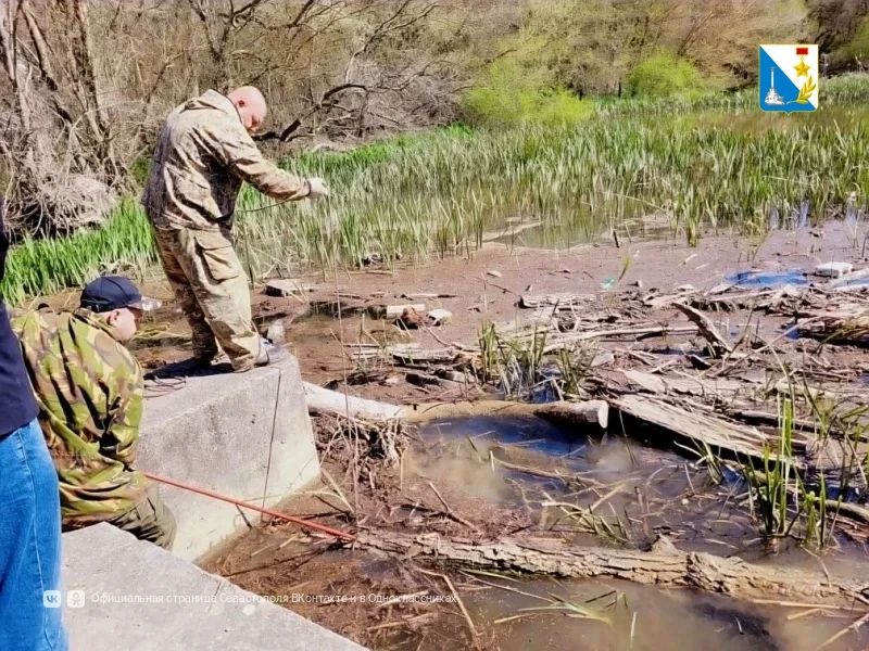 Севастополь открыл сезон «Воды России»: волонтёры собрали 12 кубометров мусора на берегу реки Черная Севастополь открыл сезон «Воды России»: волонтёры собрали 12 кубометров мусора на берегу реки Черная