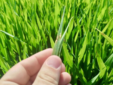 � ����������� ������ ������� ���������� ��������� ������ � ������ ������� ������ 2026 ����