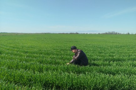 ���������� ��������� ������ � ������ ������� ������ 2026 ����