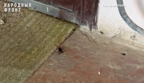 � ����������� ����� ����� ������ ��� � ����������, ������� �������� � ��������