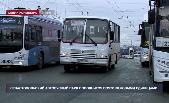 Севастопольский автобусный парк в 2026 году пополнится почти 30 новыми единицами Севастопольский автобусный парк в 2026 году пополнится почти 30 новыми единицами