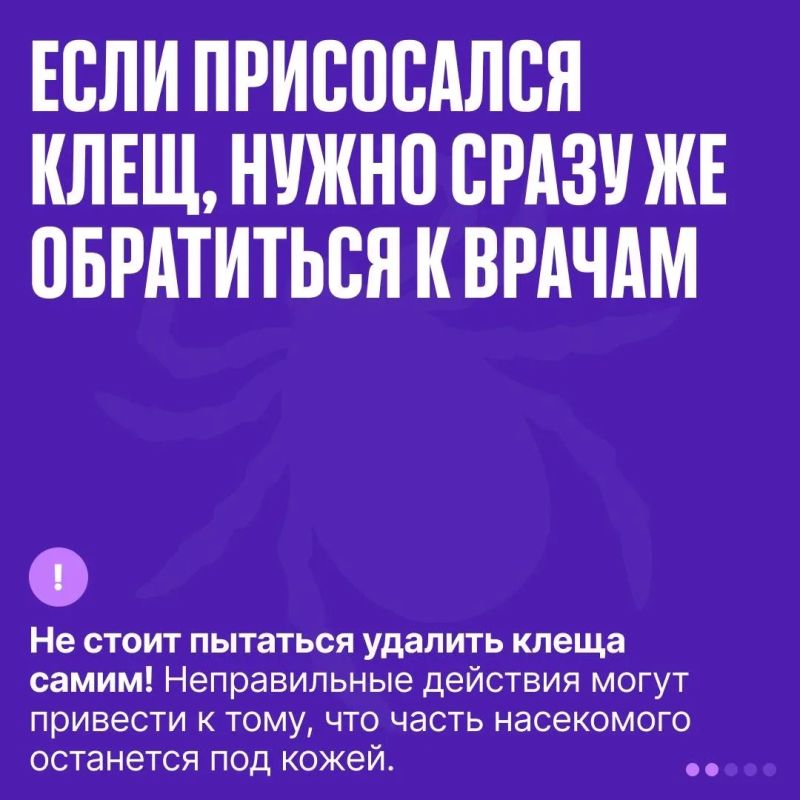 Ночью в Севастополе борются с кровососами Ночью в Севастополе борются с кровососами