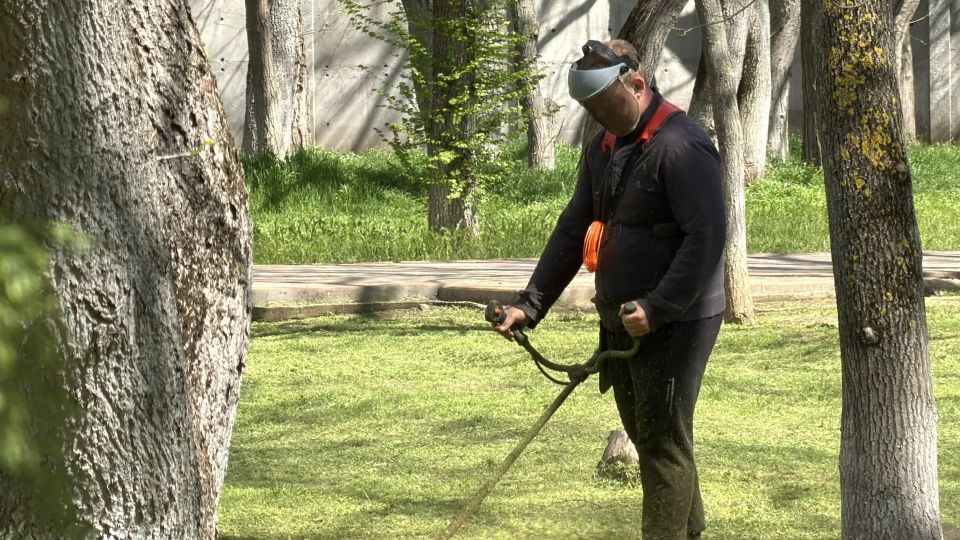 В Керчи продолжается покос травы В Керчи продолжается покос травы