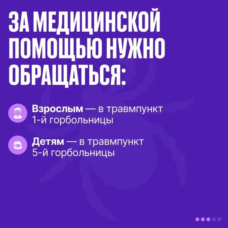 Ночью в Севастополе борются с кровососами Ночью в Севастополе борются с кровососами