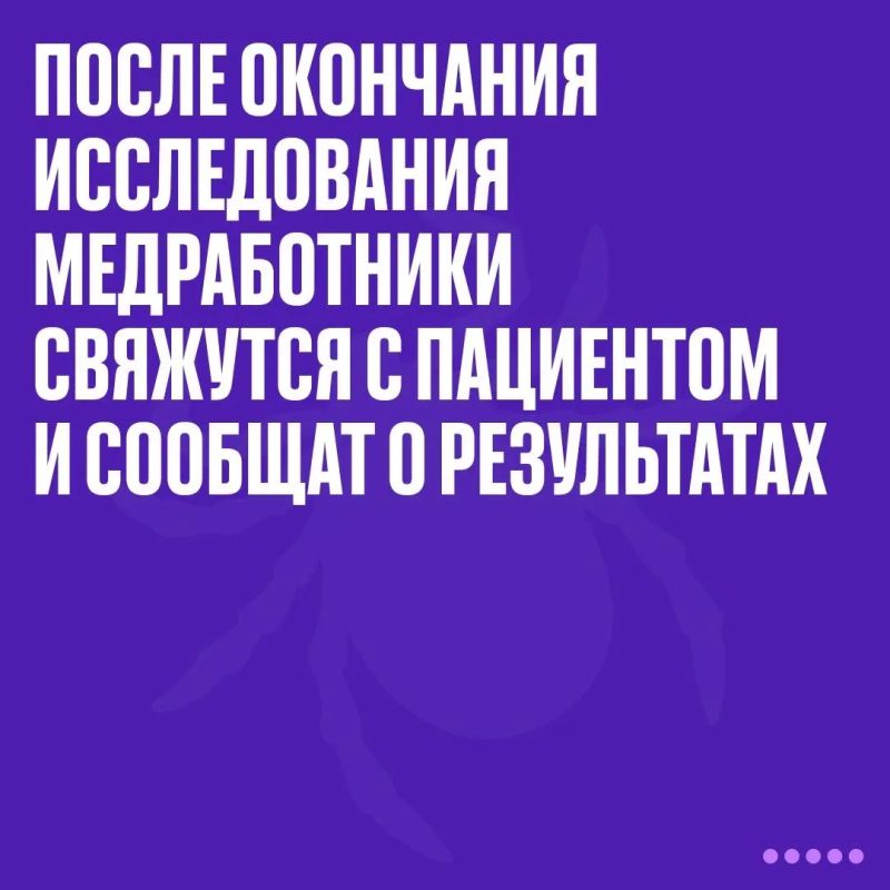 Ночью в Севастополе борются с кровососами Ночью в Севастополе борются с кровососами