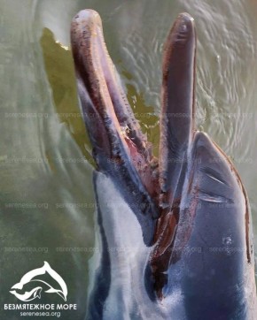 ��������� ��������� ��������� ����� �������� ������������