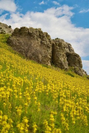 ���������� ���������� ��� � �����