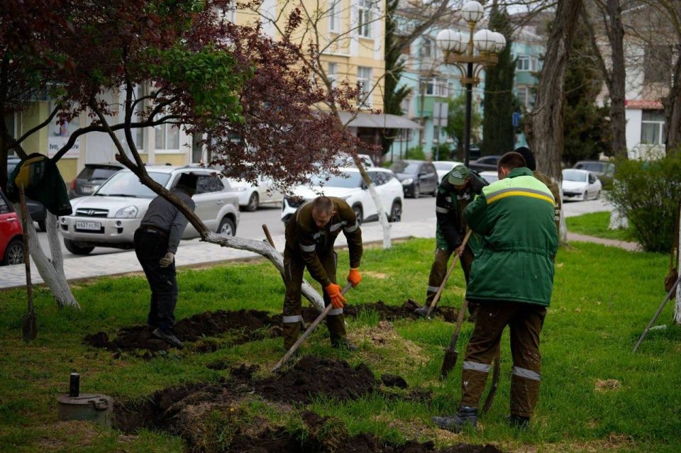 В сквере Дубинина стартовали работы по установке системы автополива В сквере Дубинина стартовали работы по установке системы автополива